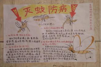 统帅清洁,统帅灭蚊,家庭灭蚊